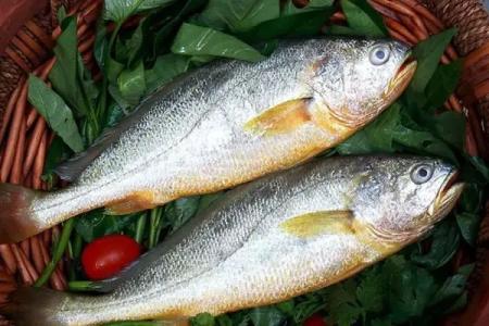 黑魚中檢測出孔雀石綠超標(biāo)，黃魚中檢測出氧氟沙星超標(biāo)